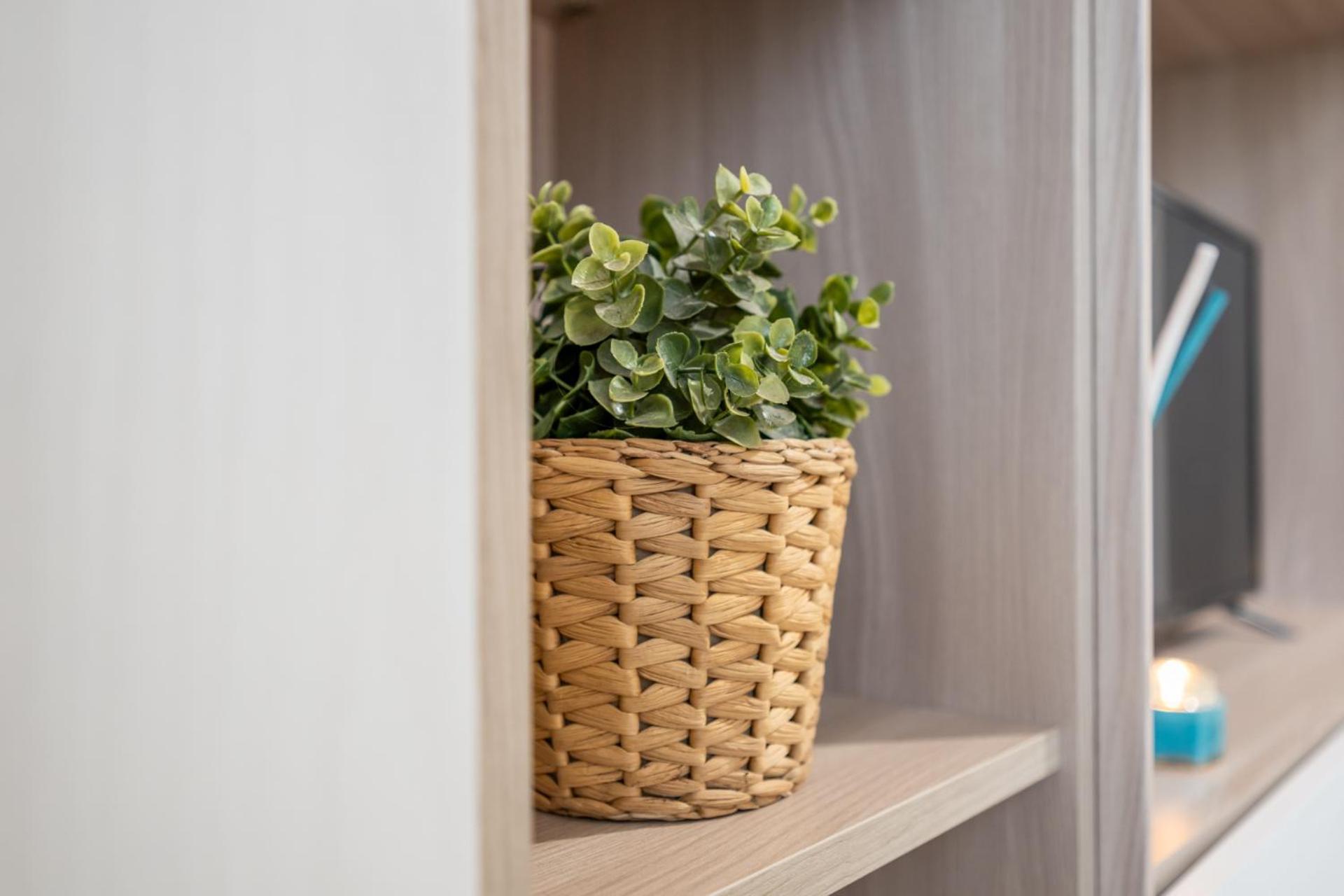 Apartamento Sage&rosemary - With Garden By Pleiades